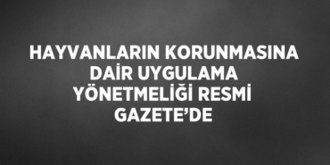 20421226613107828070tasarimli