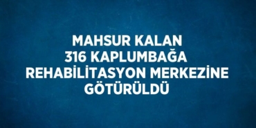 20426315083036730597tasarimli