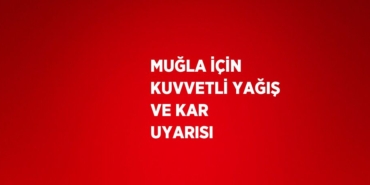 20437267782030720432