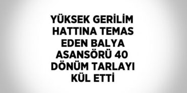 20440213802273525673tasarimli