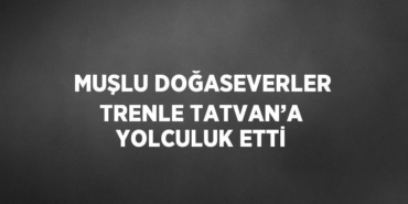 20441260042866629021tasarimli