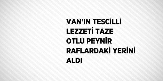 VAN’IN TESCİLLİ LEZZETİ TAZE OTLU PEYNİR RAFLARDAKİ YERİNİ ALDI