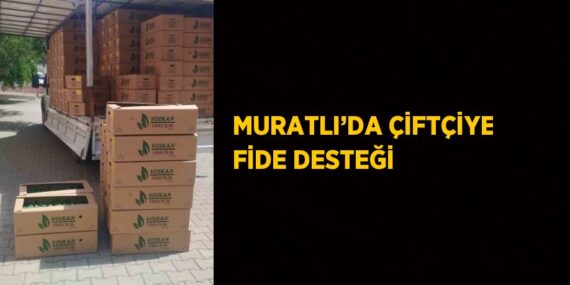 MURATLI’DA ÇİFTÇİYE FİDE DESTEĞİ