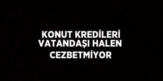 KONUT KREDİLERİ VATANDAŞI HALEN CEZBETMİYOR