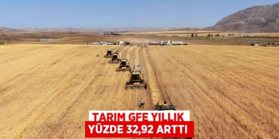 TARIM GFE YILLIK YÜZDE 32,92 ARTTI