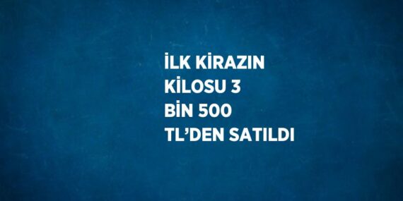 İLK KİRAZIN KİLOSU 3 BİN 500 TL’DEN SATILDI