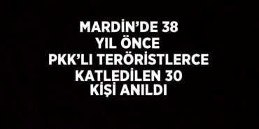 20455237862792427868tasarimli