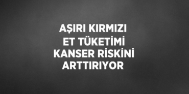 20455278452055220128tasarimli