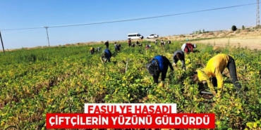 20457278352932120869tasarimli