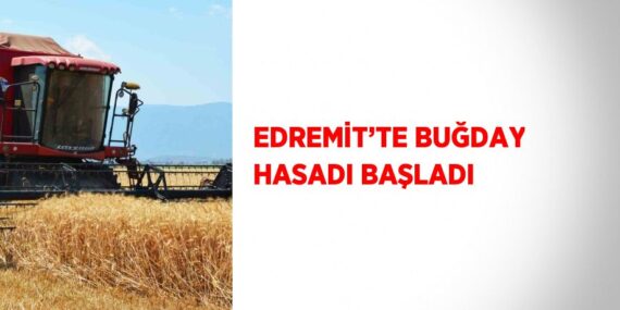 EDREMİT’TE BUĞDAY HASADI BAŞLADI