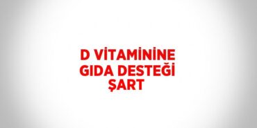 20470316692239220100tasarimli