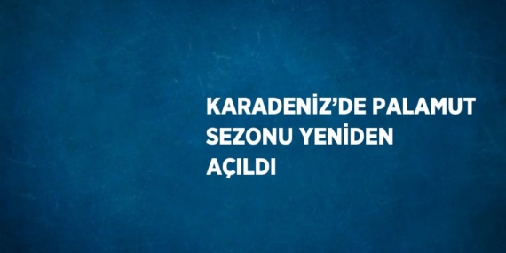 KARADENİZ’DE PALAMUT SEZONU YENİDEN AÇILDI