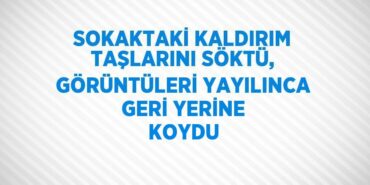 20480264432487031938tasarimli