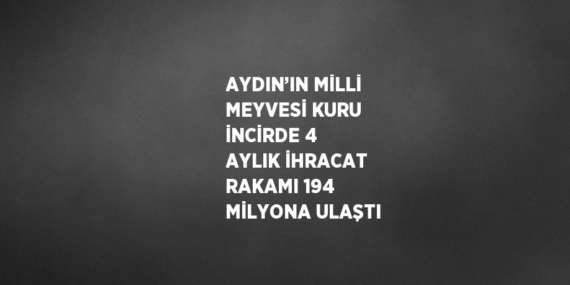 AYDIN’IN MİLLİ MEYVESİ KURU İNCİRDE 4 AYLIK İHRACAT RAKAMI 194 MİLYONA ULAŞTI