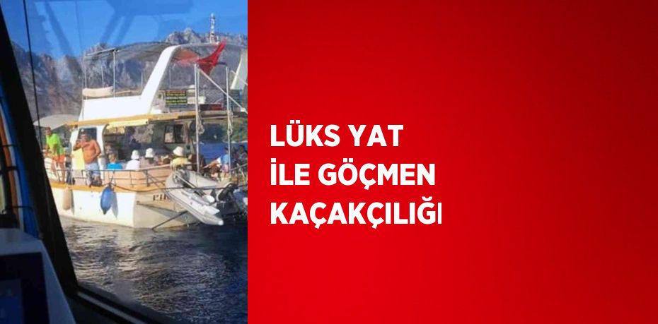 20496241072789128343