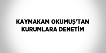 20496254902403030352tasarimli