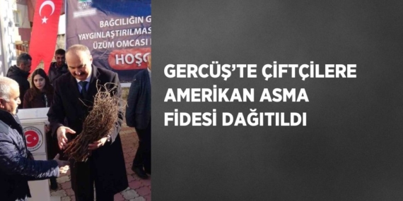 GERCÜŞ’TE ÇİFTÇİLERE AMERİKAN ASMA FİDESİ DAĞITILDI
