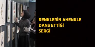 20502230172489229412