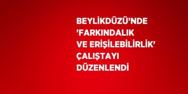 20503314512484626733