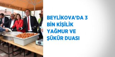 20506298052072931528