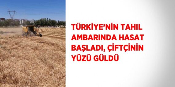 TÜRKİYE’NİN TAHIL AMBARINDA HASAT BAŞLADI, ÇİFTÇİNİN YÜZÜ GÜLDÜ