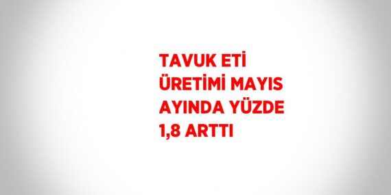 TAVUK ETİ ÜRETİMİ MAYIS AYINDA YÜZDE 1,8 ARTTI
