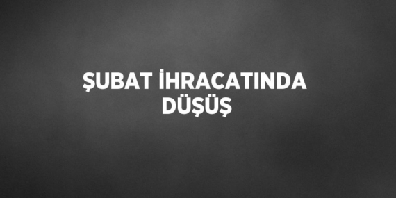 ŞUBAT İHRACATINDA DÜŞÜŞ