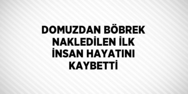 20515203092496321291tasarimli