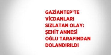 20515230052638829390