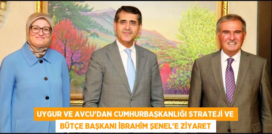 20519309172431127744tasarimli