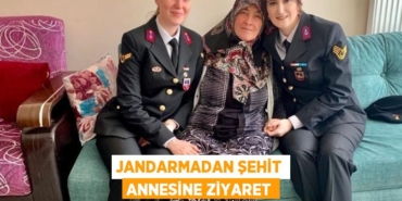 20522239262717321597tasarimli