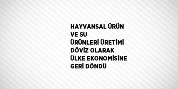 HAYVANSAL ÜRÜN VE SU ÜRÜNLERİ ÜRETİMİ DÖVİZ OLARAK ÜLKE EKONOMİSİNE GERİ DÖNDÜ