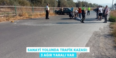 20529230532534921582tasarimli