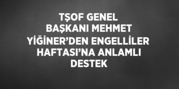 20531248032865229587tasarimli