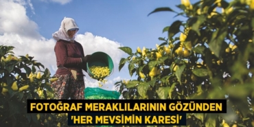 20547267883102023196tasarimli
