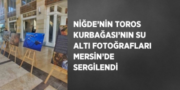 20550265512197428012