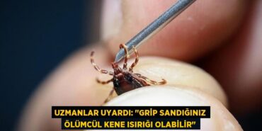 20556286673055722864tasarimli