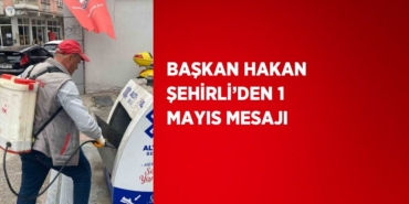 20558211302085424321