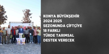 20564303082007425141
