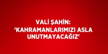 20571209243102130115tasarimli