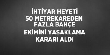 20583237083114524867tasarimli