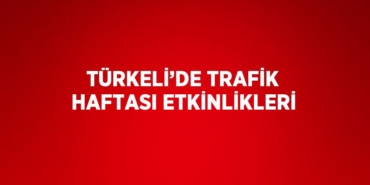 20586298522494430897tasarimli