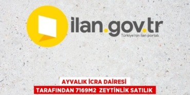 20593309952306123464tasarimli