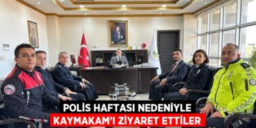 20600230762597530593tasarimli