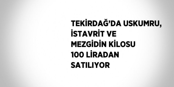 TEKİRDAĞ’DA USKUMRU, İSTAVRİT VE MEZGİDİN KİLOSU 100 LİRADAN SATILIYOR