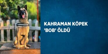 20614233242240230109