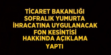 20619285552835721402tasarimli