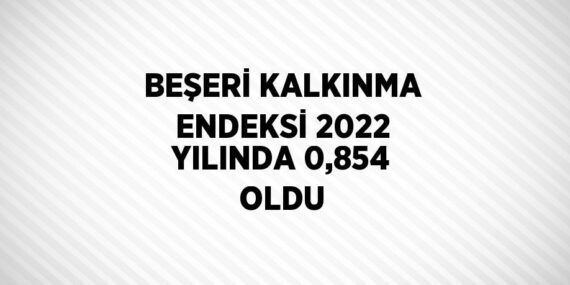 BEŞERİ KALKINMA ENDEKSİ 2022 YILINDA 0,854 OLDU