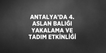 20627248372950229741tasarimli