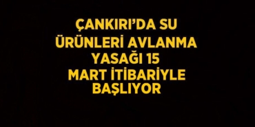 20630221472165327809tasarimli